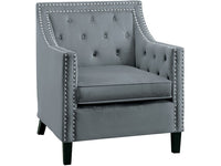 Grazioso Gray Velvet Accent Chair 1297