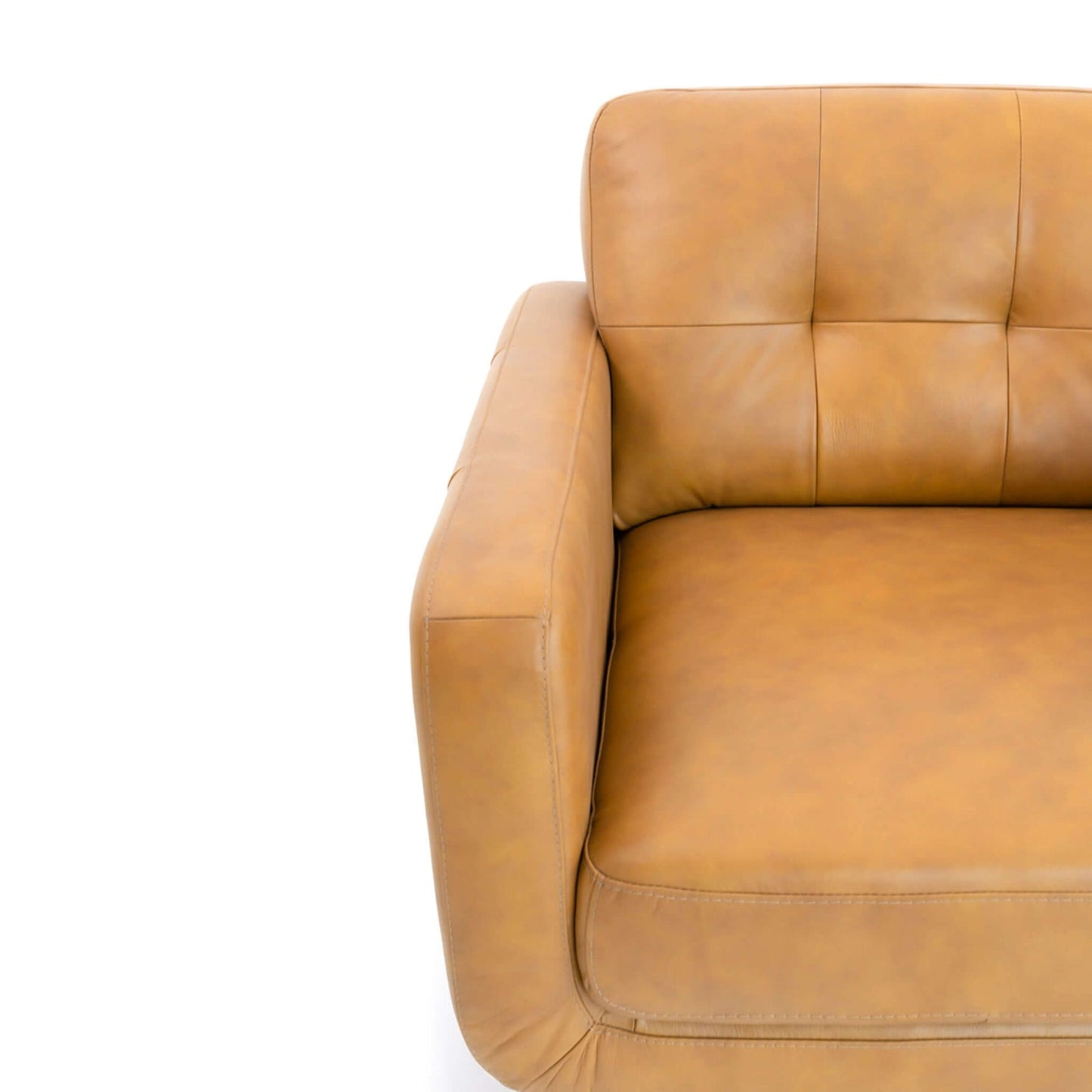 Caser Mid-Century Modern Leather Accent ArmChair