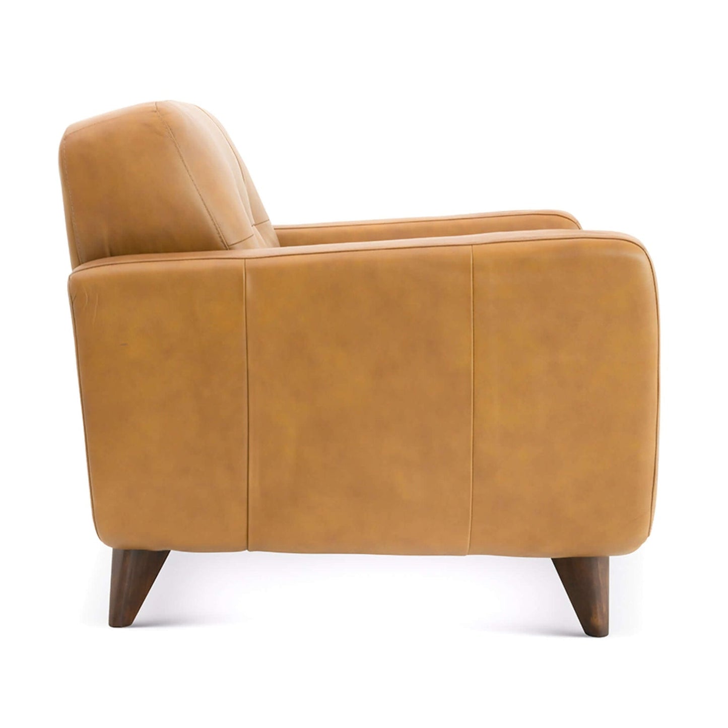 Caser Mid-Century Modern Leather Accent ArmChair