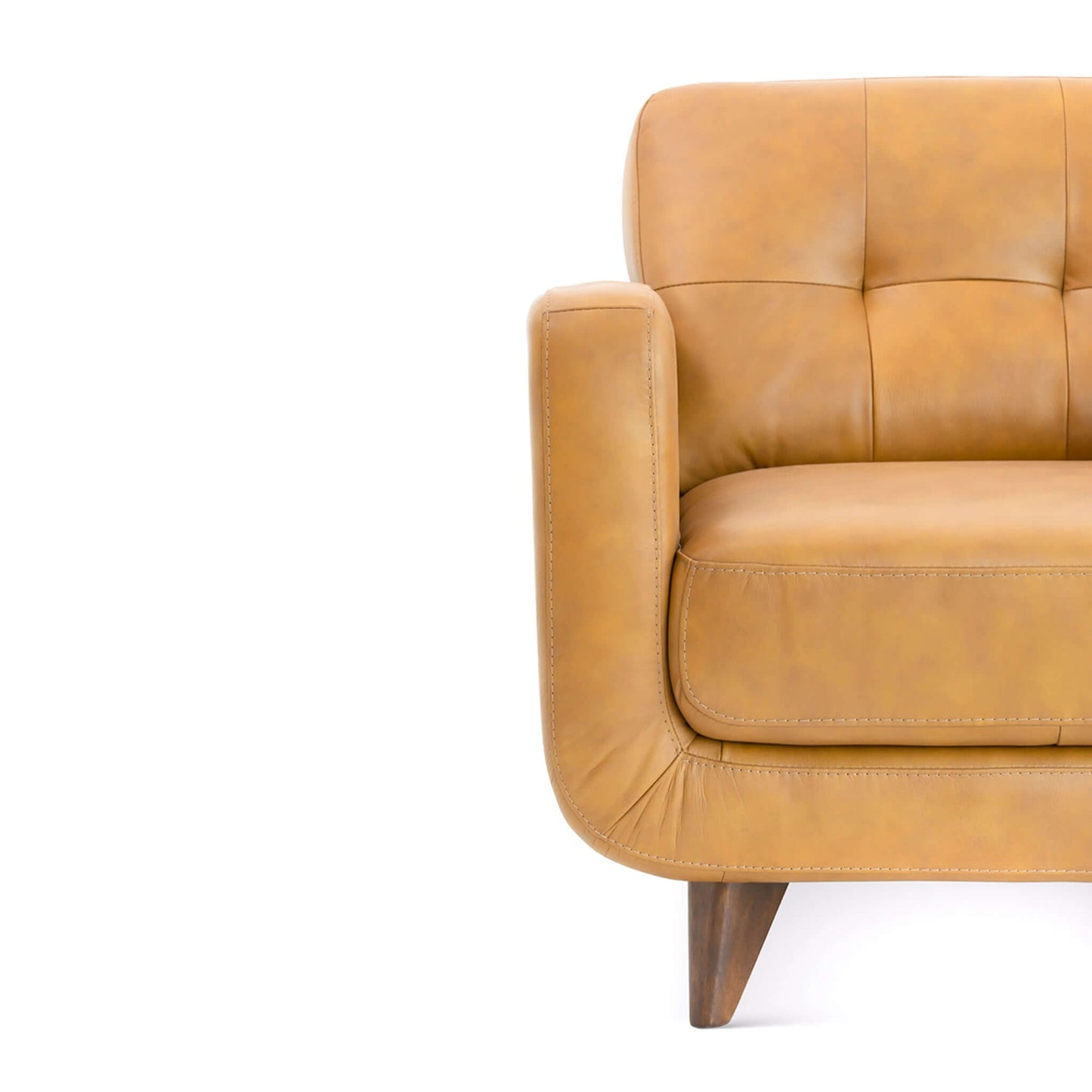 Caser Mid-Century Modern Leather Accent ArmChair